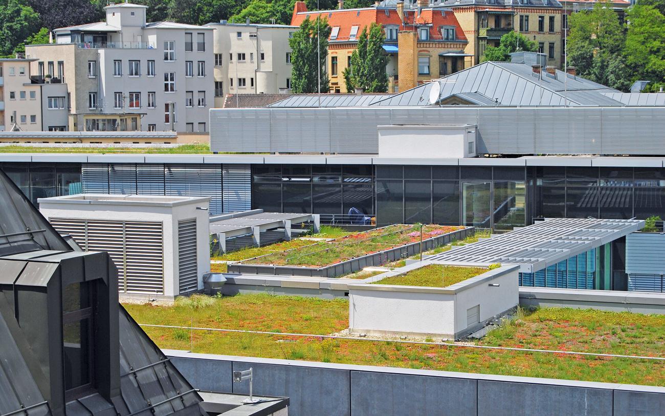 Henke Dachdecker für Rinteln - Ein Baustein gegen die Aufheizung unserer Städte: Klima-Gründach für maximale Verdunstung