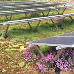 Henke Dachdecker für Bückeburg - Bauder Solar Gründach