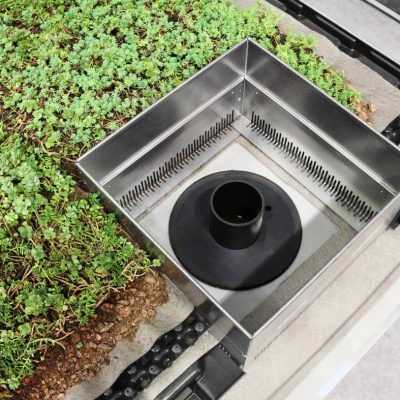 Henke Dachdecker für Minden - Das „Retentions-Gründach“ speichert große Wassermengen gezielt auf dem Dach und lässt dieses zeitverzögert in die Kanalisation abfließen – zum Schutz vor Hochwassergefahr