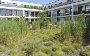 Henke Dachdeckerei | Zimmerei | Solartechnik für Stadthagen - Vielfältige Dachbegrünung - der Garten auf dem Dach