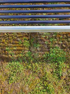 Henke Solartechnik in Schaumburg - Die PV-Röhrenmodule lassen Licht und Wasser durch und bieten den Pflanzen damit optimale Wachstumsbedingungen