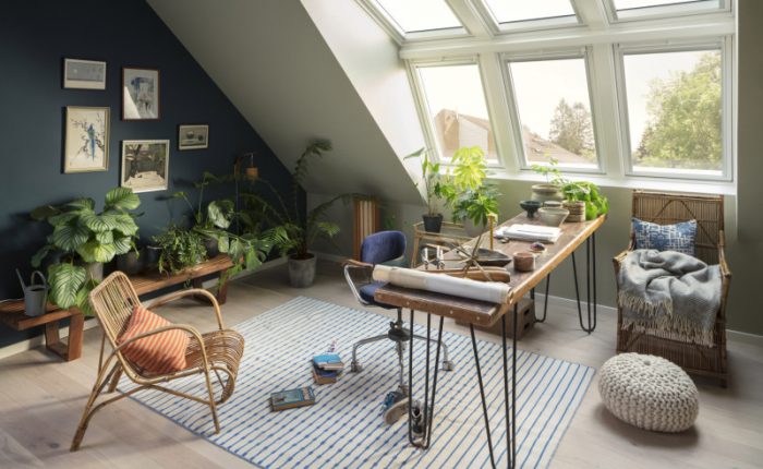 Henke Dachdecker für das Auetal - Pflanzen mit einem hohen Bedarf an Tageslicht fühlen sich im hellen Dachgeschoss besonders wohl
